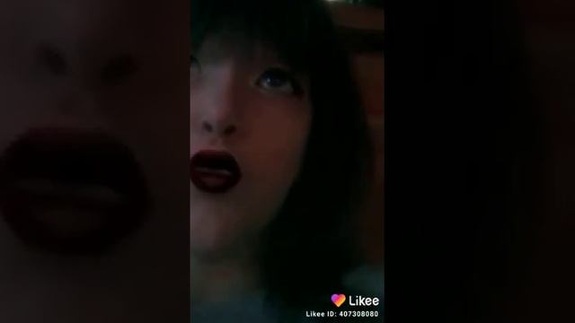 Я люблю свою пушистую собаку