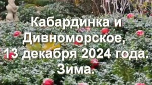 Дивноморское и Кабардинка 13 декабря 2024 года. Зима