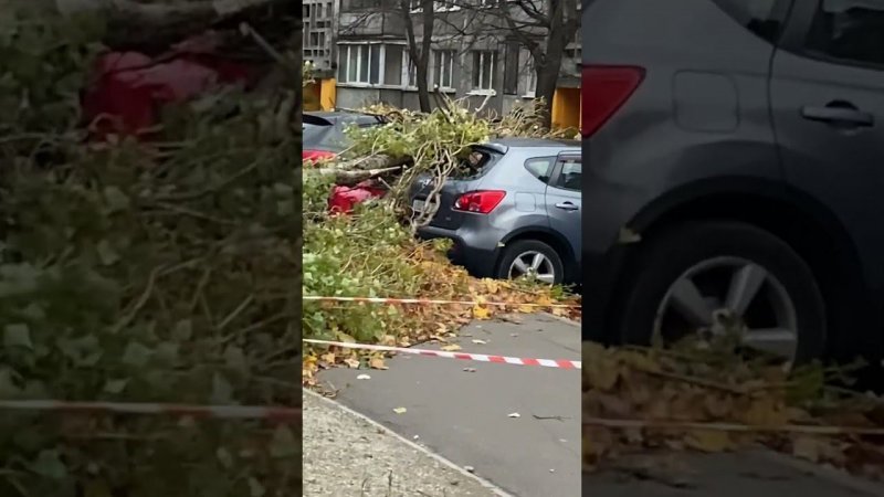 В Калининграде штормит