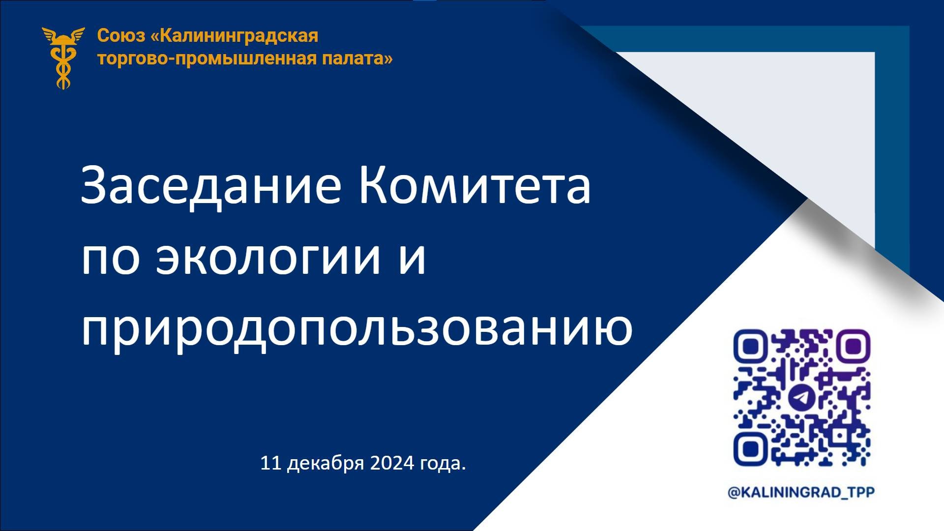 11.12.24 Заседание Комитета по экологии и природопользованию