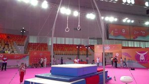 Лига Гимнастики 2024