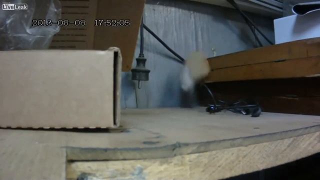 Жадность! смотреть онлайн