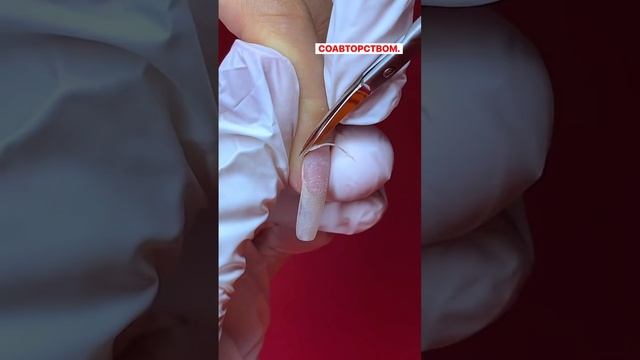 Подробности на сайте Nipponnippers