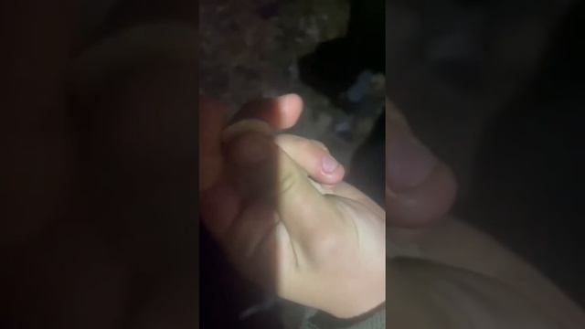 Очередной пример бракованной 120-мм минометной мины украинского производства, поступившей на снабжен