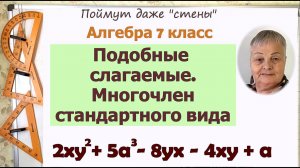 Приведение подобных слагаемых 7 класс. Многочлен стандартного вида