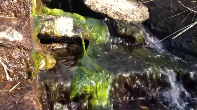 Энергия ручья смотреть онлайн