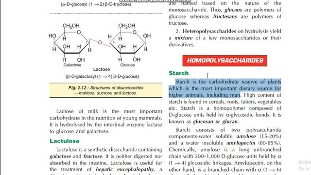 Polysaccharides types and structure of starch biochemistry of carbohydrates DMLT RPMC