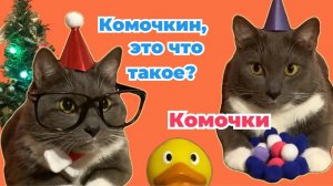 ЕСЛИ БЫ КОТИКИ ХОДИЛИ В ШКОЛУ - КОТИКИ ДЕДЫ МОРОЗЫ