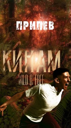 "Wild & Free". Кинам. Припев