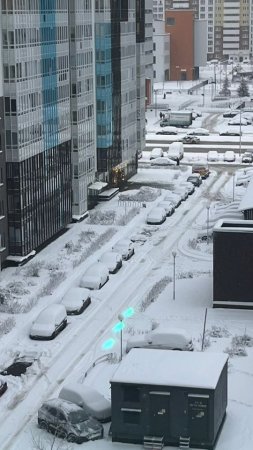 Сенсация в Питере выпал снег.
