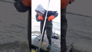 Вылов мотыля летом