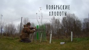 Ноябрьские хлопоты 09.11.2024