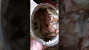 Тушёнка из Калининграда, опять ниочём
