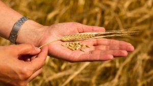 Буду вспоминать милости Божьи (Филимончук Григорий) аудиокнига