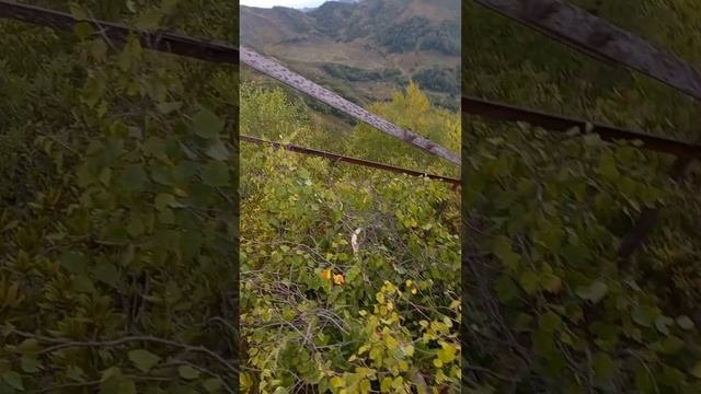 Идём по хребту Ацетука. Олег с нами! Абхазия.