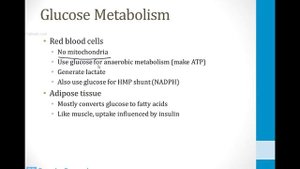 Biochemistry - 2. Metabolism - 1. Glucose atf