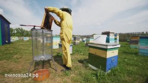 Моя пасека 2018 год. Пчеловод24.рф