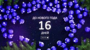 До Нового года осталось 16 дней!