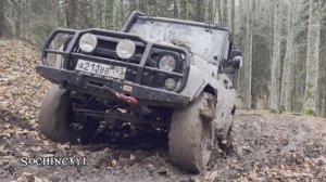 Мальчики на природе
