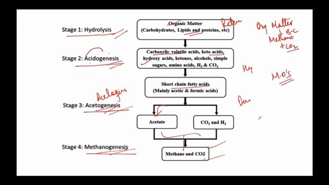 Biomethanation Process on Rice Straw explained, How it can help solve the issue of Stubble Burning? смотреть онлайн