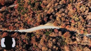 Жизненные. Страшные. Мистические. Творческие истории. Хоррор