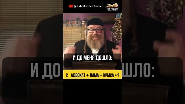 2. Адвокат + лама + крыса =?