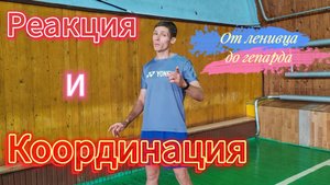 Реакция и координация. От ленивца до гепарда!