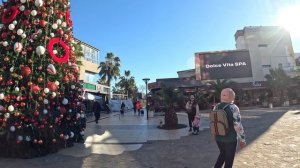 СОЧИ . ХОЛОД -2 . ПРОГУЛКА по МАНДАРИНУ