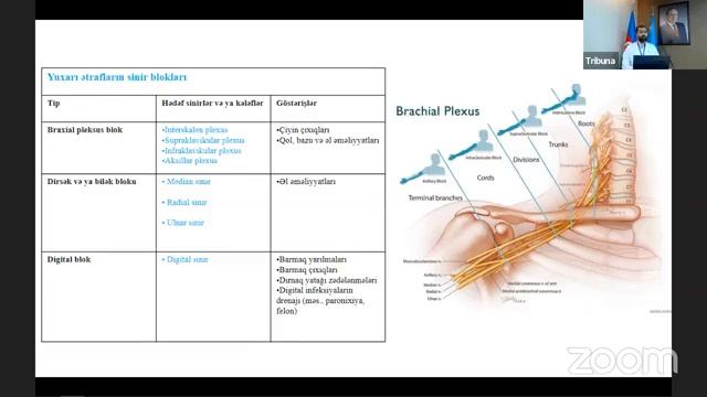 Dr. Tural Sadıqov “Regional anesteziya və onun üstünlükləri” mövzusunda çıxış edib смотреть онлайн