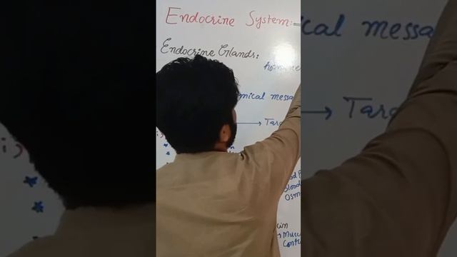 Endocrine system watch complete lecture link is in description box