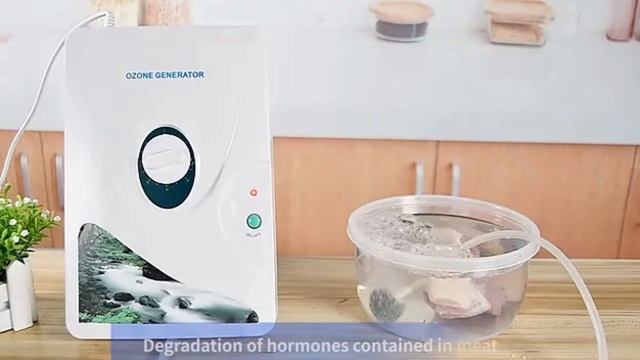 Portable Ozone Generators: The Future of Clean Air or Just a Scam? смотреть онлайн