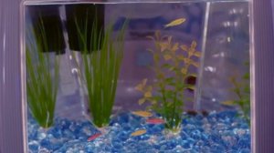 jack stauber ─ two time [full lyrics]