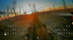 Тренировка Fpv (c) Балу