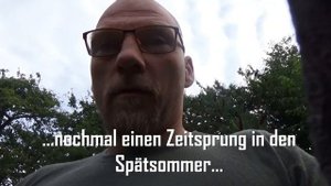 Tinyhouse renovieren | Minimalismus leben | Riesiges Wespennest | Die Gemeine Wespe | DIY Heimwerke