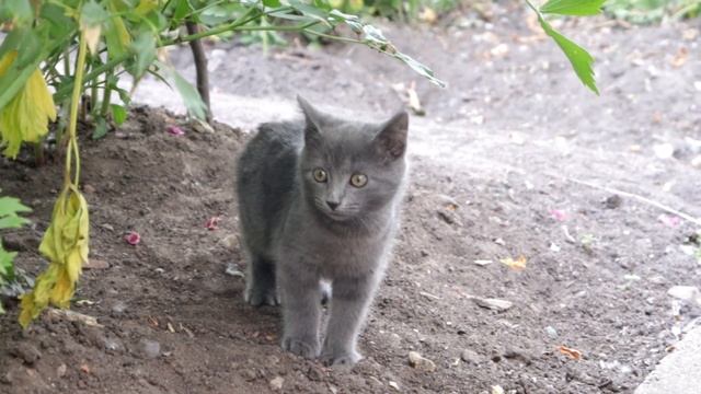 Новенький.