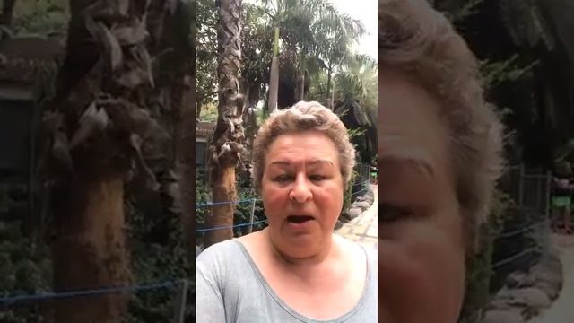 Слова, создающие реальность.. Мария Ор- Эль Маор смотреть онлайн