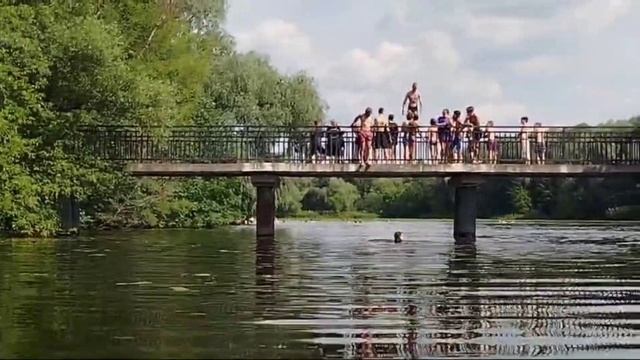 Жара в Москве +30 в тени, 01.07.2024 Серебряный бор. Прыжки  с моста 👌 смотреть онлайн
