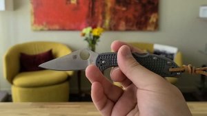 Spyderco Delica 4