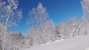 14 декабря 2024 г Лаго_Наки