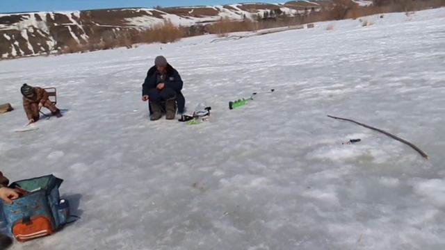 Солнце лёд рыба где-то под нами!