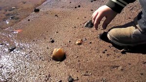 Ребёнок бросает Камешки в Воду
