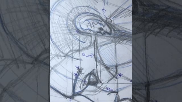 Построение головы рисунок Building a head drawing Как нарисовать голову Анатомия головы