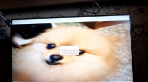 Квинка шарит за кпоп Игра #игра #рекомендаций