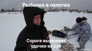 Ловим крупную сорогу и леща.