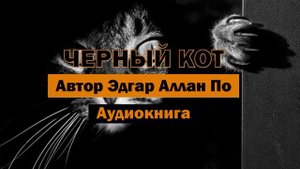Черный кот Э.Аллан По Аудиокнига #аудиокнига #мистика #эзотерика #аудиокниги #классика #по #алкоголь