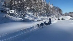 Адыгея катание на Хаски.