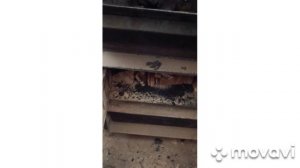 растопка котла зота Булат 23 кв