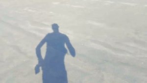 Быстро и качественно