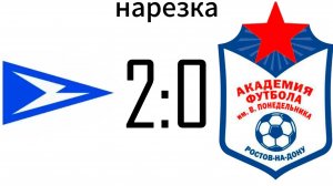 Нарезка чайка 2:0 Академия