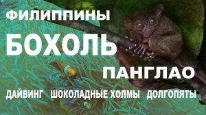 Мы жили на о. Панглао, погружались с аквалангом и ездили на шоколадные холмы